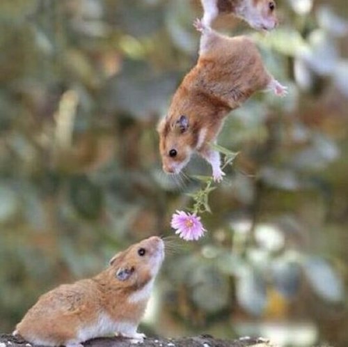 jessyleb's profile picture. Ⓕⓤⓝⓝⓨ,Ⓗⓘⓛⓐⓡⓘⓞⓤⓢ~ⓐⓝⓓ-ⓒⓞⓜⓘⓒ~ⓣⓦⓔⓔⓣⓢ