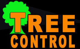TREECONTROL1's profile picture. Established Tree Surgeons in Cardiff. Professional, Prompt , Insured, Call to book Your FREE quote. Tel. 029 20 615722