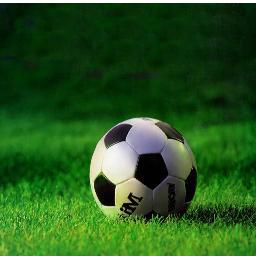 Seguidor aférrimo del deporte rey.