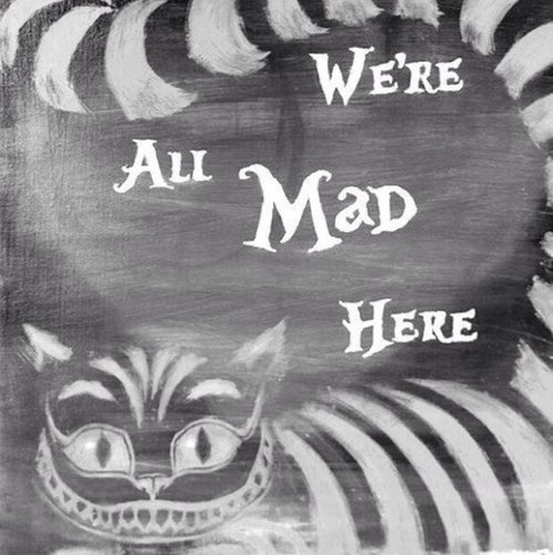 Im obsessed with cats and Tarryn Fisher. Its almost the same thing isnt it?