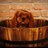patokapups's profile image