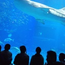 *Marcy* - @Marcy_Moon - Twitter