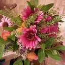 Sara Stephen - @ASaraStephen - Twitter