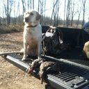 Ryan Virden - @12BFishN - Twitter