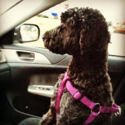 meggiekelli's profile picture. Oncology Certified RN; devoted Christian, serving God faithfully each day; motherless daughter; Multiple sclerosis activist!