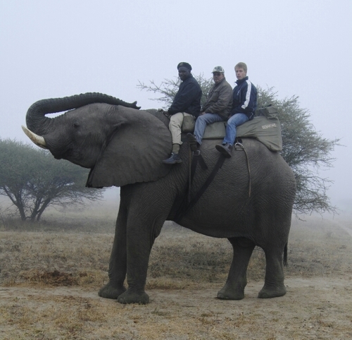 hendrikstrydom2's profile picture. 