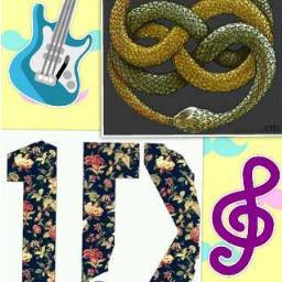 * Auryner * Directioner * Colchonera * Madridista *