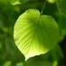wish1 (@123likein) Twitter profile photo wish1 (@123likein) Twitter profile photo