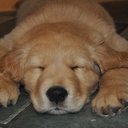 David Edgell - @Edge_Tek - Twitter