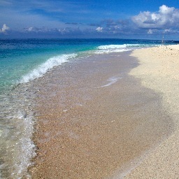 jorge0008's profile picture. 