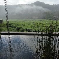 SW Associates, LLC (@swatourism) 's Twitter Profile