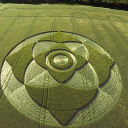 No Music No Life                           フリーエネルギー:Free Energy/クロップサークル:Crop Circle/ベジタリアン:Vegan/飛行機雲観察/cats/Flat Earth/ Mud Frood/Tartaria/VULFPECK
