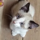 karson brown - @pickleBob11 - Twitter