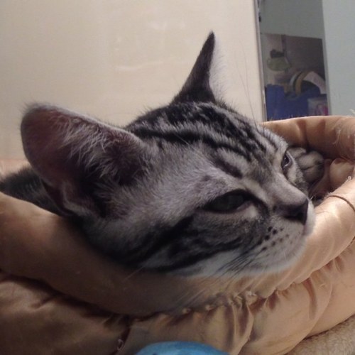 Gtnet919's profile picture. Hello! I`m glad to tweet freely.
Fm. JPN