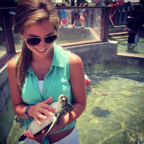 dgoldbergg's profile picture. 