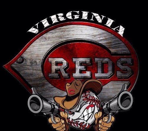I Firmly Believe That Almost Anything Is Possible In This Life, If Your Willing To Back Your Dreams With Hard Work!!! #VirginiaRedsBaseball