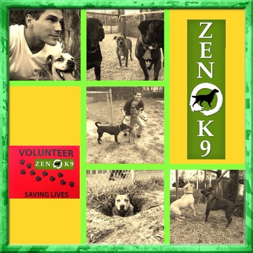At Zen-K9, our objective is to bring dogs back-to-nature which allows them to be the canine they are.We have never met a dog… or an owner we couldn't help