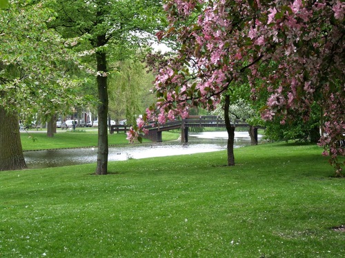 nieuwsuitdewijk's profile picture. heeft interesse voor alle bewoners van de Provenierswijk