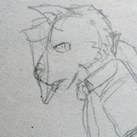 ハスキ (@hasuki948) 's Twitter Profile Photo