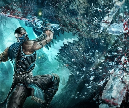 I've been here since Mortal Kombat 1. Mortal enemy of Hanzo Hasashi, Lin Kuei Assassin, Master of Ice.
