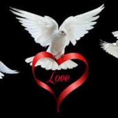 TamiStamps1's profile picture. Administrator for Non-Profit Organization, Real Estate Investor, and Child Advocate