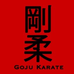 Become Better: Do Karate.