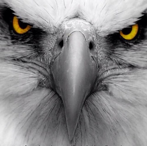 Constitutionalist, Libertarian, Husband and Dad so Molon Labe.
Backup Acct for @Herdinsheeple #TGDN #tcot #tlot
