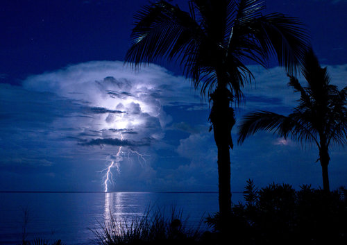 FLRACINGWX's profile picture. Providing weather forecasts for race day in Florida and the surrounding area.  #flwx