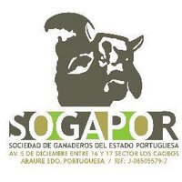SOGAPOR (@sogapor) 's Twitter Profile