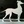 The Paper Hound Bookshop (@ThePaperHound) profile picture