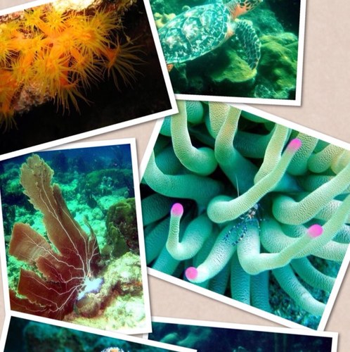 marcullmann78's profile picture. 