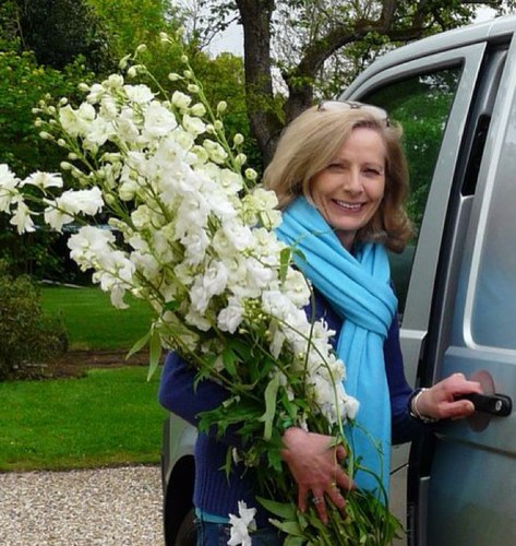 rosieorr's profile picture. I am passionate about my husband, my two gorgeous girls, three siamese, one labrador, six chickens and especially my flowers