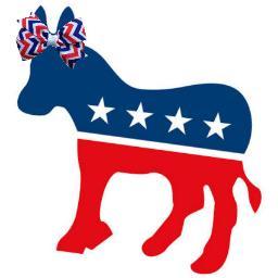 A 16 year old girl who follows politics like other girls follow boybands. Staying up-to-date through political satire and twitter.