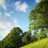 norah_an's profile image