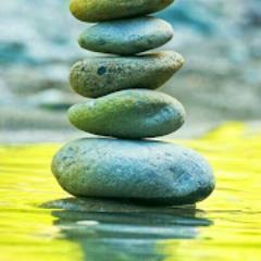 Weight Loss Coaching for adults and children.