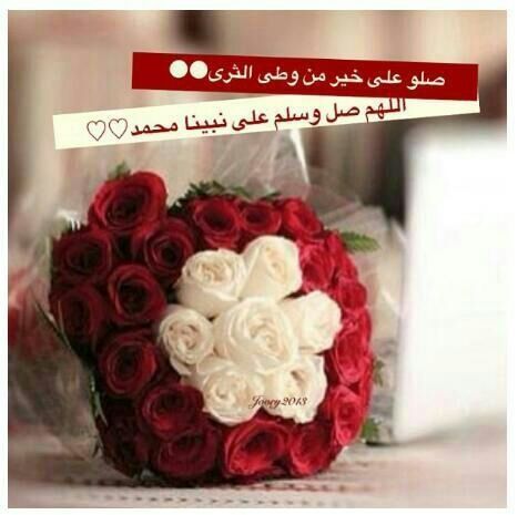 dla123489's profile picture. 