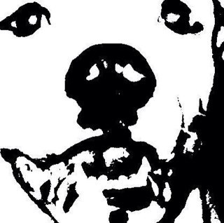 Fletching91101's profile picture. 