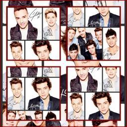 We live in 1Derland,Our king is Stypayhorlikson and they call us Directioner. Own:@iFlyMahone Co-Own:@JasminGiffari, | Camila Cabello reply ;)