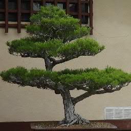 shibusagarden's profile picture. http://t.co/9MVmW0xabl