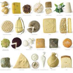 ProyectosLacteo's profile picture. Interés en el Desarrollo de Proyectos Lácteos: Yogurt, Quesos, Leche, Crema.