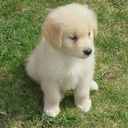 leal - @leal_araceli - Twitter