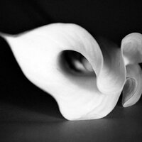 shravana sachdeva (@shravanasachdev) 's Twitter Profile