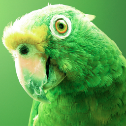 NatGeoo's profile picture. Imágenes increíbles de la naturaleza y sus paísajes. Cuenta NO oficial (Parodia/Parody)