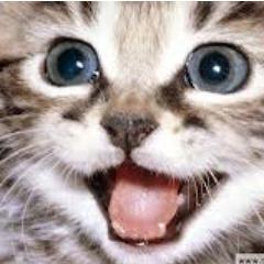 TheKiNSoNSTyLe's profile picture. Hijo de putaxD