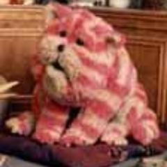 SusanBaggaley's profile picture. Pointless & Big Brother addict