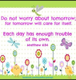 thenappinghouse's profile picture. 