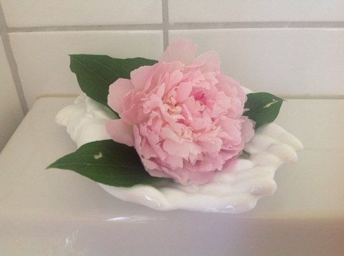 aninma47's profile picture. 