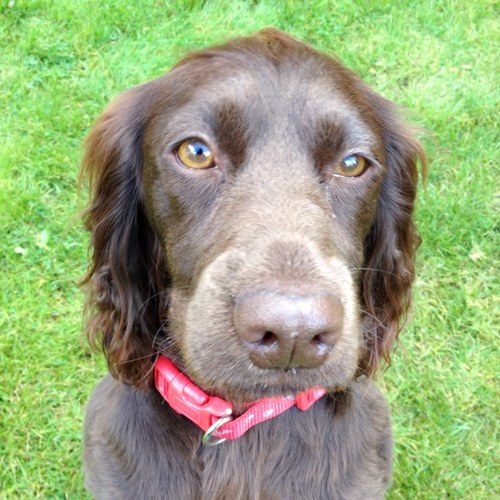 Bolton_bird's profile picture. 