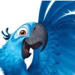 JoiceLou's profile picture. 