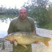 Stephen Faulkner (@stephenfaulks) 's Twitter Profile